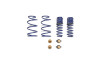 Ford Racing 2012-2013 BOSS 302 Lowering Springs - M-5300-T