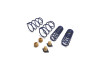 Ford Racing 2012-2013 BOSS 302 Lowering Springs - M-5300-T