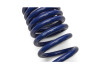 Ford Racing 15-19 Mustang (w/o MagneRide) Street Lowering Spring Kit - M-5300-XA