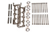 Ford Racing 4.6L 2V SOHC Head Changing Kit - M-6067-D46