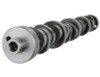 Ford Racing Small Block V-8 Hydraulic Roller Tappet Camshafts - M-6250-B303