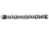 Ford Racing Small Block V-8 Hydraulic Roller Tappet Camshafts - M-6250-B303