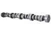 Ford Racing Small Block V-8 Hydraulic Roller Tappet Camshafts - M-6250-B303