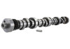Ford Racing Small Block V-8 Hydraulic Roller Tappet Camshafts - M-6250-E303