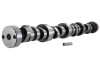 Ford Racing Small Block V-8 Hydraulic Roller Tappet Camshafts - M-6250-E303