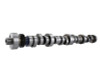 Ford Racing Small Block V-8 Hydraulic Roller Tappet Camshafts - M-6250-F303
