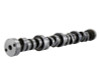 Ford Racing Small Block V-8 Hydraulic Roller Tappet Camshafts - M-6250-F303