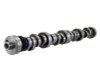 Ford Racing Small Block V-8 Hydraulic Roller Tappet Camshafts - M-6250-F303