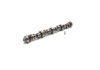 Ford Racing Small Block V-8 Hydraulic Roller Tappet Camshafts - M-6250-X303