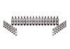 Ford Racing Ford GT and Mustang SVT 5.4L Lash AdjusterS - M-6500-GT