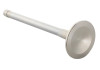 Ford Racing Exhaust Valve 302/351W - M-6505-B304