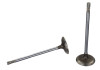 Ford Racing Coyote 5.2L Lightweight Intake Valve - Set of 8 - M-6507-M52