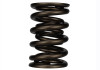 Ford Racing Replacement Valve Springs (TVS-1734) - Set Of 8 - M-6513-17348