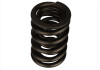 Ford Racing Replacement Valve Springs (TVS-1734) - Set Of 8 - M-6513-17348