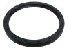 Ford Racing 302 ONE Piece Rear Main Oil Seal - M-6701-B302