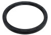 Ford Racing 302 ONE Piece Rear Main Oil Seal - M-6701-B302