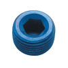 Fragola 3/8 NPT Internal Pipe Plug - Blue - 493204