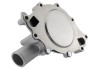 Ford Racing 302-351W Street Rod Short V-Belt Water Pump - M-8501-E351S
