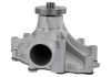 Ford Racing 302-351W Street Rod Short V-Belt Water Pump - M-8501-E351S