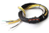Haltech HPI8 High Power Igniter 2m Flying Lead (Loom Only) - HT-040025