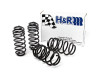 H&R 05-10 Volkswagen Jetta/Jetta SportWagen 2.5L/1.9L TDI/2.0T MK5 Sport Spring - 54751 Photo - Primary