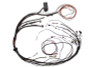 Haltech Elite 1000 Terminated Harness - HT-140879