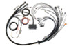 Haltech Elite 2000/2500 Terminated Harness w/EV1 Inj Connectors - HT-141376