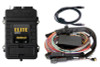Haltech Elite 1500 Premium Universal Wire-In Harness ECU Kit - HT-150904
