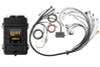 Haltech Elite 2500 Terminated Harness ECU Kit w/EV1 Injector Connectors - HT-151376
