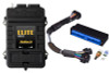 Haltech Elite 2500 Adaptor Harness ECU Kit - HT-151398