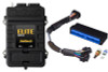 Haltech Elite 2500 Adaptor Harness ECU Kit - HT-151399