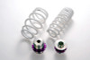 HKS NISSAN GTR R35 HM TOURING HEIGHT ADJUSTABLE SPRING KIT - 80280-AN001