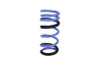 ISC Suspension Ford Mustang (S550) Triple S Lowering Springs - TSLS-PONY