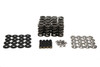 BTR Platinum .685" Spring Kit w. Ti Retainers - Gen V LT1 / L83 / L86