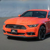 EOS Carbon Fiber Fog Light Eyebrow Trim - 15-17 Mustang GT (FOG-1114-BKCF)