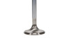 Manley Ford 289 Exhaust Valve Kit - 1.465in Head Dia. 5.080in O/A Length, 0.3415in Stem - 11523-8