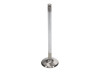 Manley up to 2010 Dodge Viper V-10 1.600 Dia Race Master Exhaust Valves (Set of 10) - 11643-10