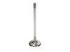 Manley Dodge 8.0L Viper V10 Exhaust Valve Kit - 1.600in Head Dia. 5.97mm O/A Length, 0.3110in Stem - 11647-10