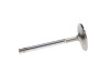 Manley Chrysler 361-383 2.140 Head Dia 4.873 OA L Dish Race Flo Intake Valves (Set of 8) - 11890-8
