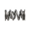 Manley Valve Spring, SPRING-1.324 DOUBLE - 221421-16