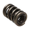 Manley Valve Spring, SPRING-1.530 DOUBLE - 221432-16
