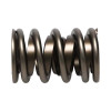 Manley Valve Spring, SPRING-1.530 DOUBLE - 221432-16