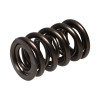 Manley NexTek Series 1.580 OD .832 ID .730 Lift Oval Track and Endurance Valve Springs - 221443-16