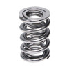 Manley Valve Spring, SPRING-1443 POLISHED - 221443P-16