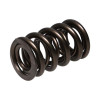 Manley Valve Spring, SPRING-1.610 DOUBLE - 221444-16