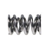 Manley Valve Spring, SPRING-1.620 DOUBLE - 221445P-16