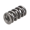 Manley Valve Spring, SPRING-1.620 DOUBLE - 221446SF-16