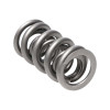 Manley Valve Spring, SPRING-1.500 DOUBLE - 221457-16