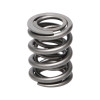 Manley Nissan (KA24DE) 16pc Valve Springs - 22160-16