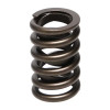 Manley Valve Spring, SPRING-1.250 SINGLE - 22409-16